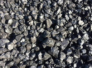 茂名塊煤市場(chǎng)概況與水產(chǎn)品供應(yīng)的區(qū)域經(jīng)濟(jì)關(guān)聯(lián)