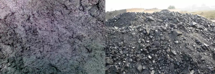 瑞新熱裂解技術 變水產品廢棄物為寶，助力環保新篇章